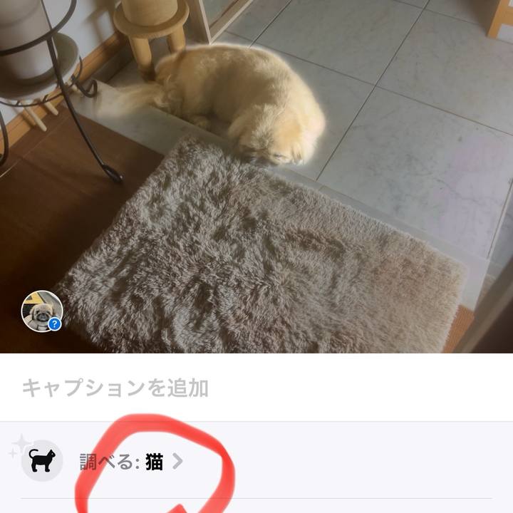 41329115 8bf8 4fa0 94d7 8f2a9b205fe2 1725661326278