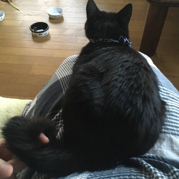 4133012e eaaf 4279 86a9 966e3da18905 1536655333558