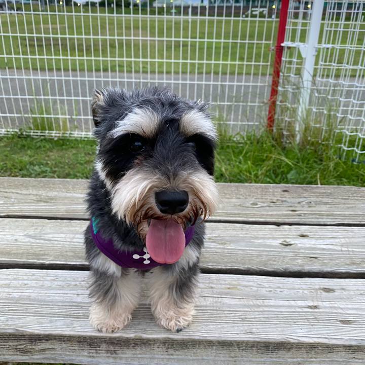 41333675 35b5 428c 9dd4 1581535db1d2 1624799993101