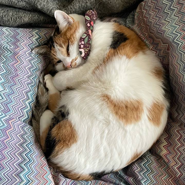 41334611 ac1b 475f b57f 2897ac1120e7 1734223749022