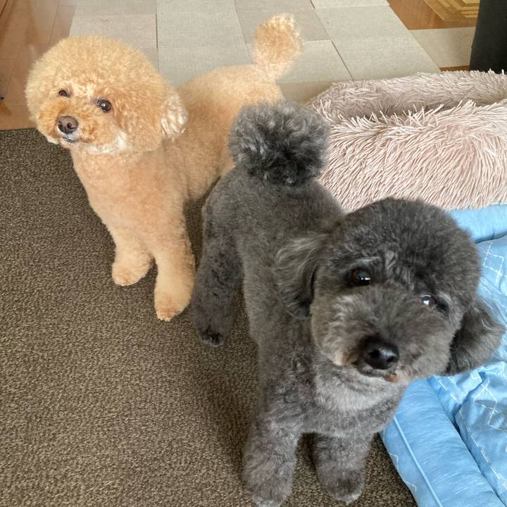 4133481d d973 47c3 bb59 5210dfb82d94 1688987846606