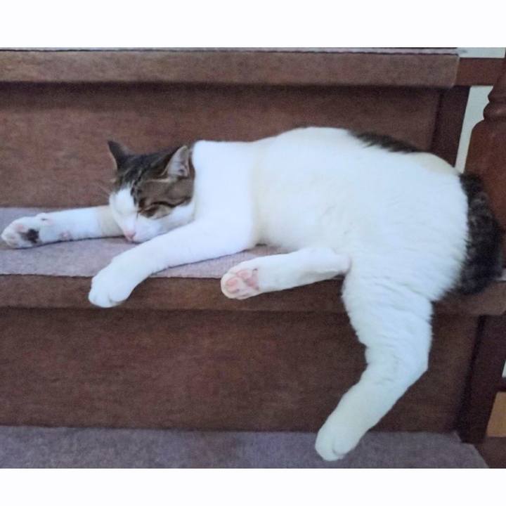 41334e0b 9287 4ade bfe8 aee1c9127404 1754781569384