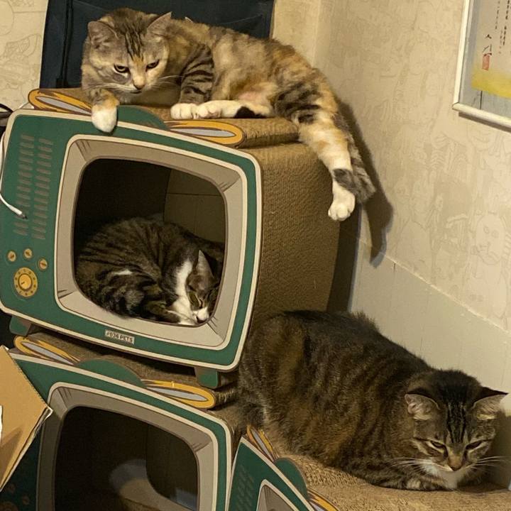 41336276 f778 40bf ab09 2f773f5e2603 1633261475957