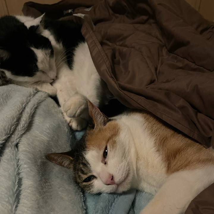 41339aee 5ef0 4e9a b202 c5c4304fa1ab 1644593999578