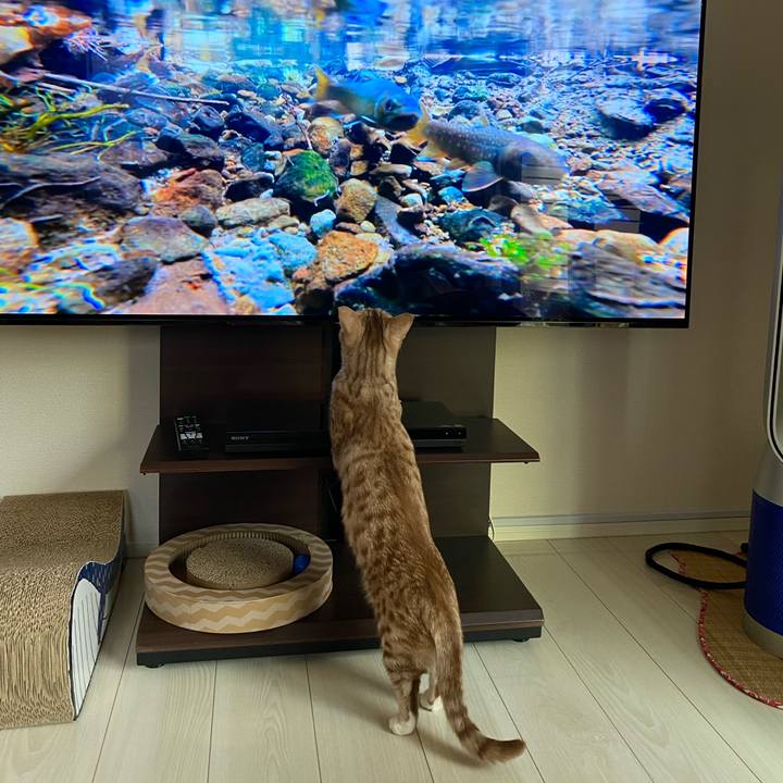 41340192 702b 4f05 87f1 3b6a6f1e59da 1644706517832