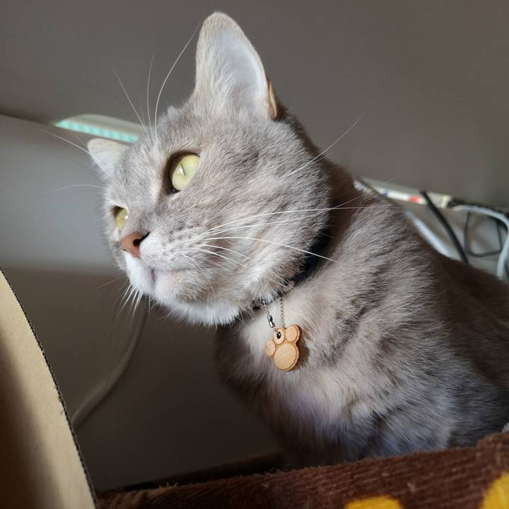 41340a59 9fa4 4896 824c fe3cbe01a1ec 1590638125603