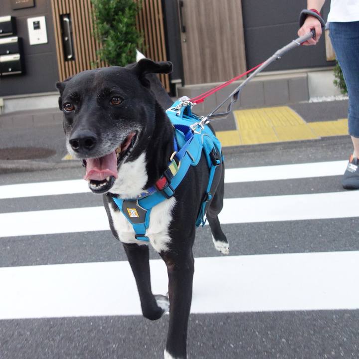 41342463 c1c1 465c ba46 028db0694d96 1687605242959