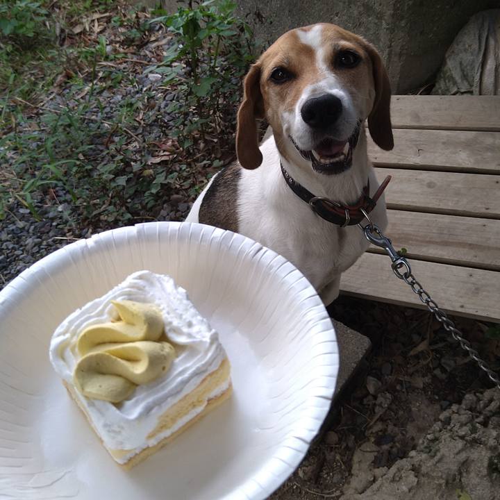 4134470b e219 4922 a596 44541942d369 1662809348064