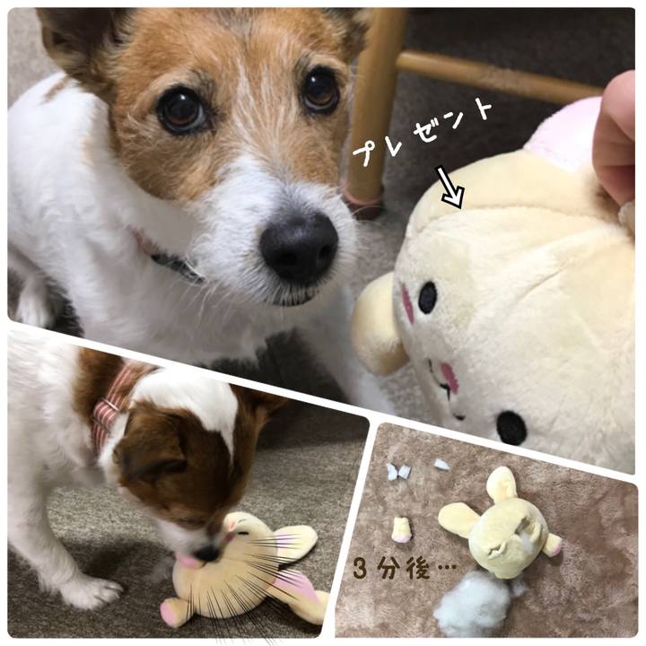 41346da9 7700 42a5 8779 ba737a458d96 1520767532996