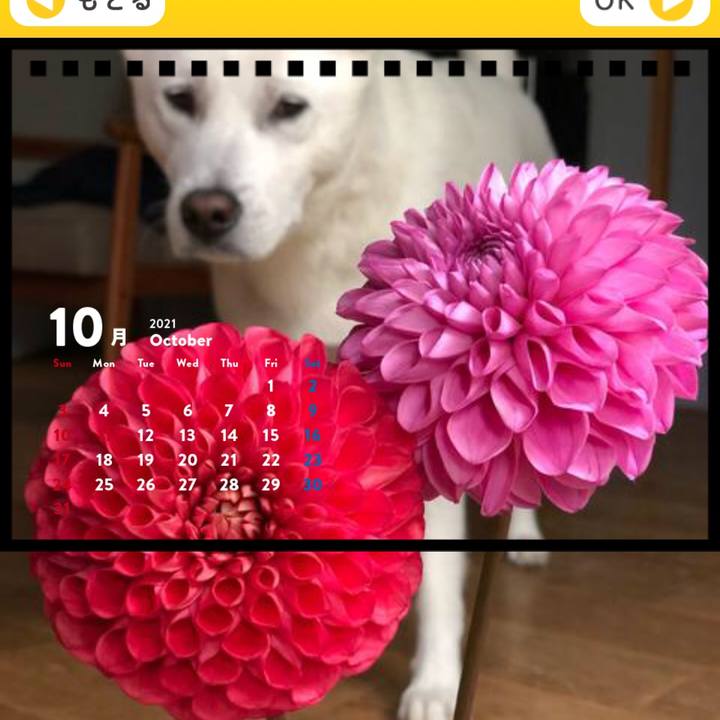 41348332 0804 4ae1 81f3 bbe857fb9839 1604484275322