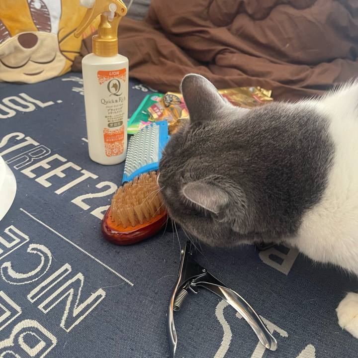 4134863d ebe5 4724 8092 48857a92b516 1735432701920