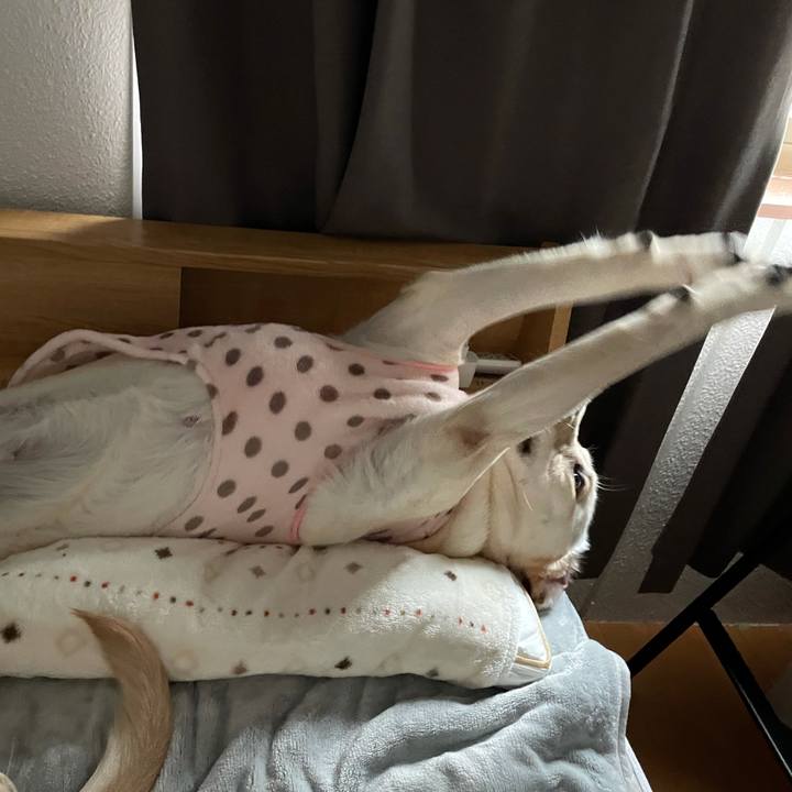 41348d63 116c 4b03 8b9a 6ea9c9d61041 1634856570340