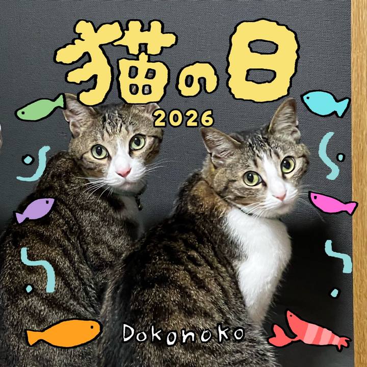 4134e03d 2b6c 448b 8597 69acc8c1c1e9 1771706997003