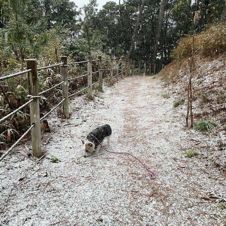 4134fd34 bf23 4ec0 8f92 d186f072353d 1734221597155