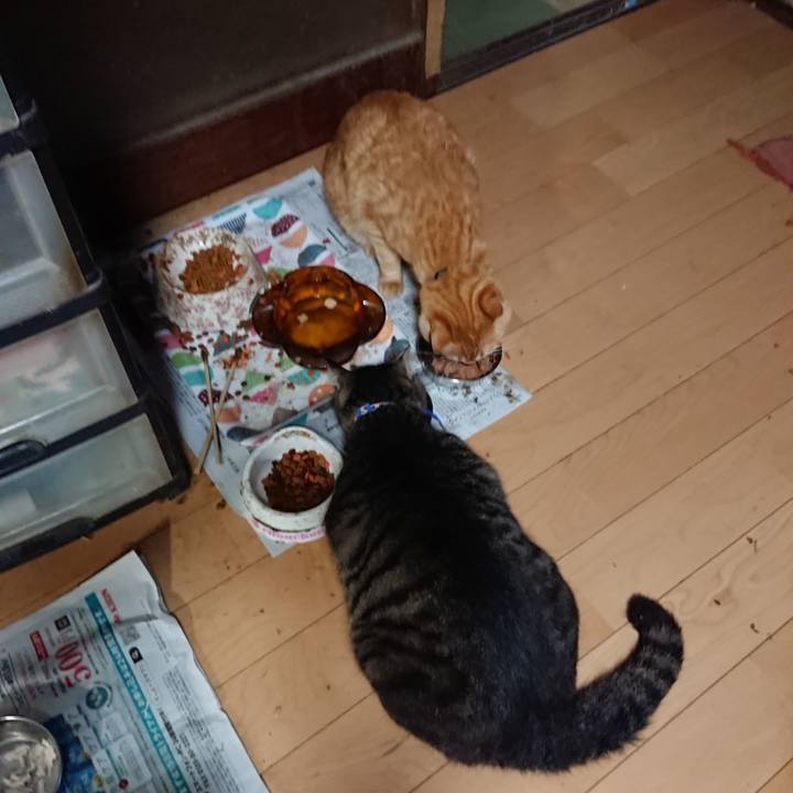 41351e9f fb8f 434b a2a2 e8519157bec4 1657618805984