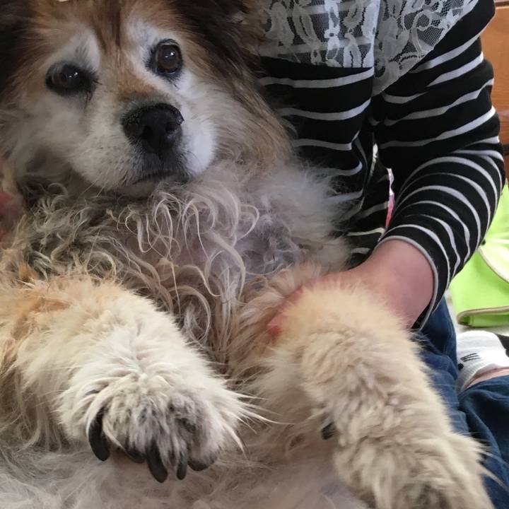 413563fd 48c8 45c0 8ac3 d2c38e8c4232 1618470257799