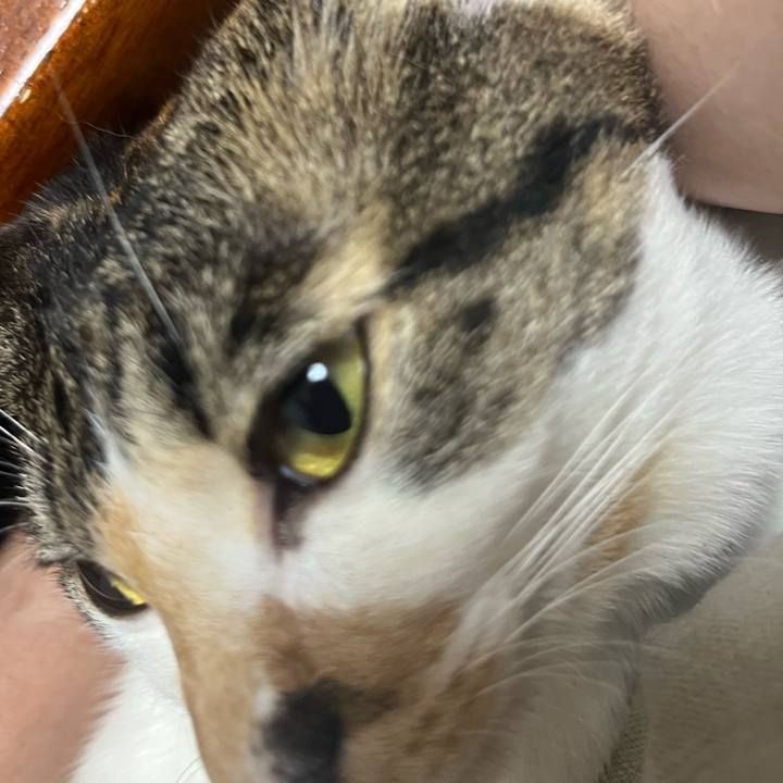 4135663c 8625 48fd 9e17 9e844e17d9c6 1755525397695