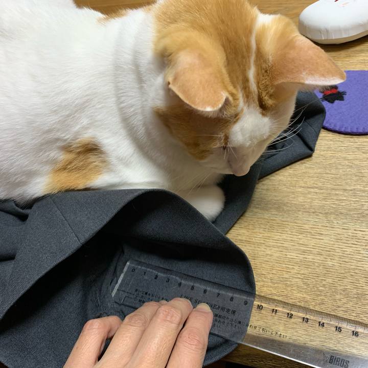 4135696f 88e3 4aef 9a9d 28f4c5b48dc6 1574869605595