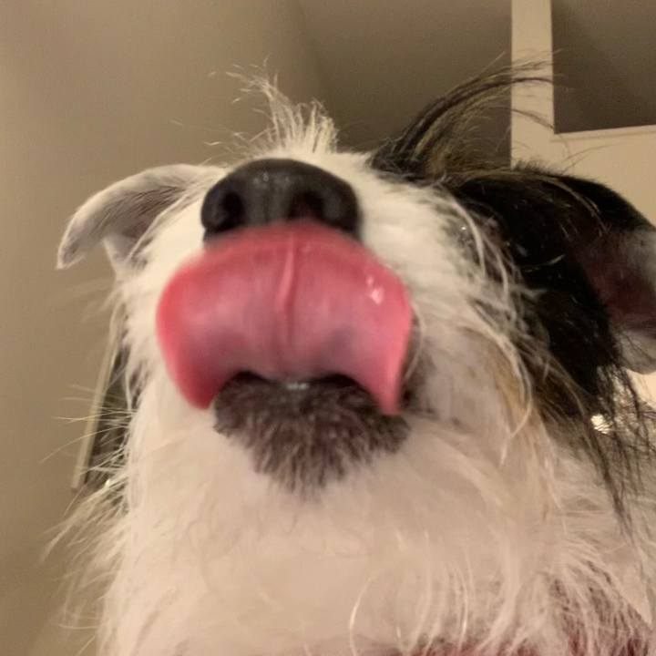 4135b753 d23d 4413 b30c 9fbefb2f1891 1644485786920