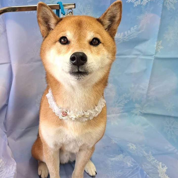 4135fb5f def0 4216 a0be 816702b48332 1673008252941