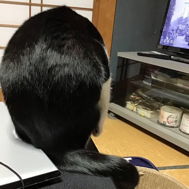 41362312 7ae7 4555 b802 6f7df241f94f 1704454662055