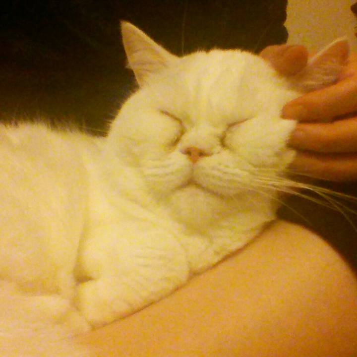 413639e7 e4e1 4c74 9911 3f99e8202f9b 1517732968000