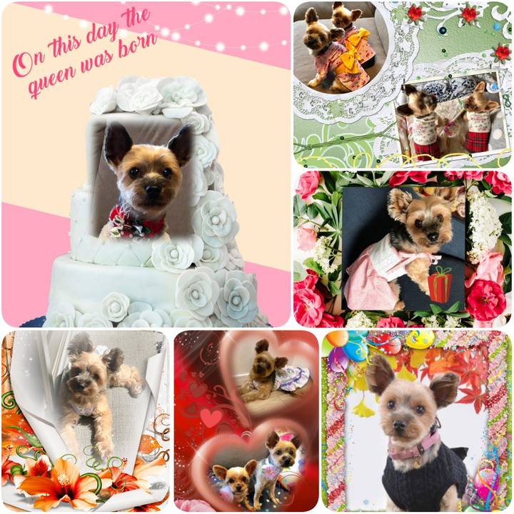 41364f0e 6bd6 46b9 8e28 e033c357ba7b 1626207534102