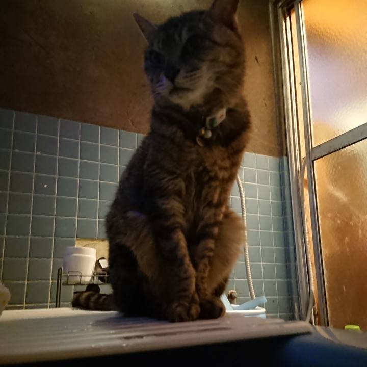 41365afe 58c4 4b22 ab8e 2f8d1ff36477 1562236332534