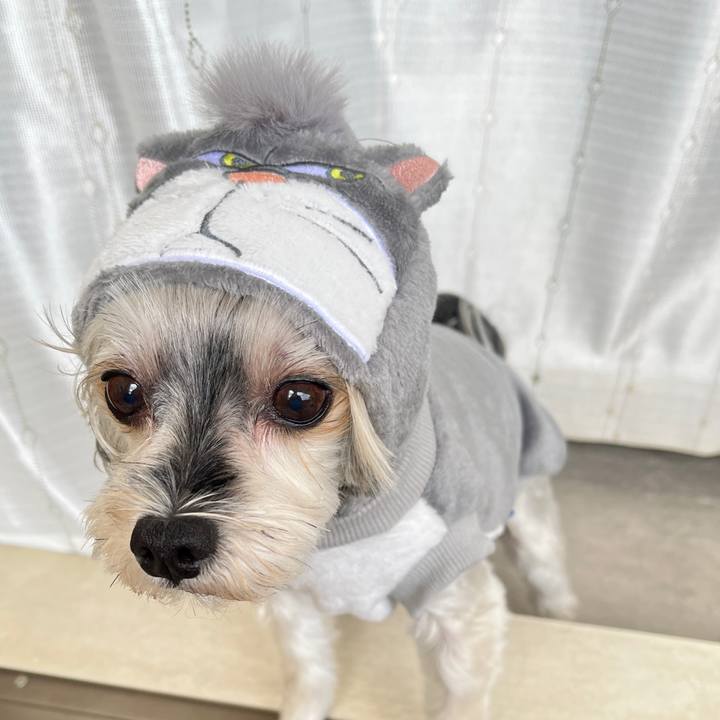 41367d53 5463 4c11 90f0 cc897515db98 1763775421704