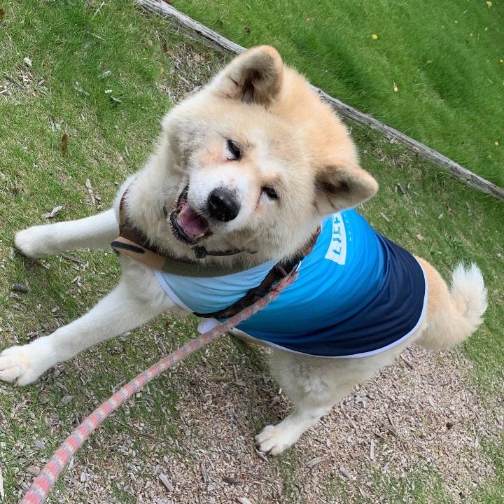 4136b178 6b34 4ba8 8ee7 a370f7d2ac41 1653796958894