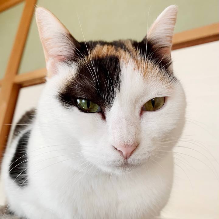 413734ac f5d8 492f 845e b26614117d11 1549072909315