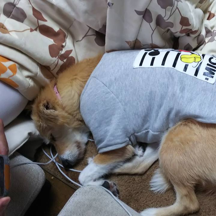 41373ddb 7e13 4642 87ca 044057561da7 1545527858067