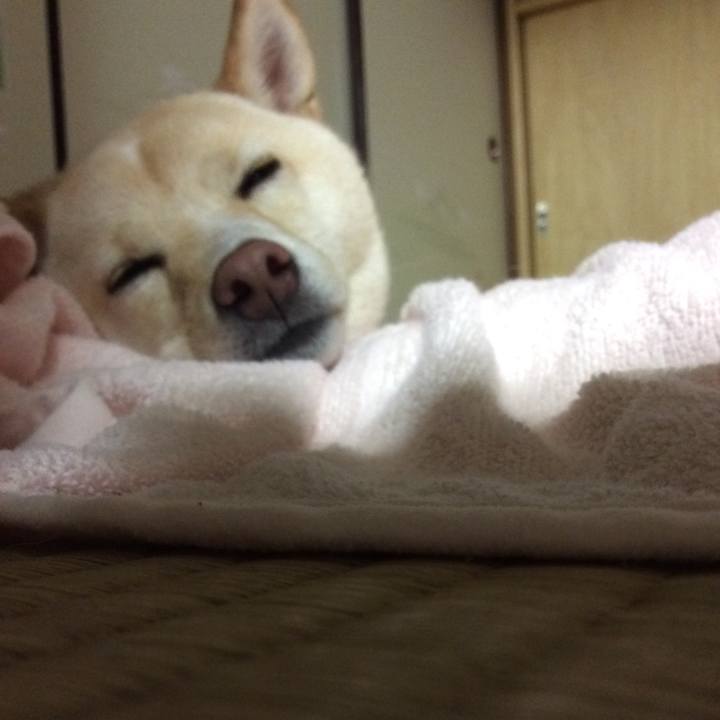 41377323 3734 4f83 a008 fb9a3f4379ea 1534940510186