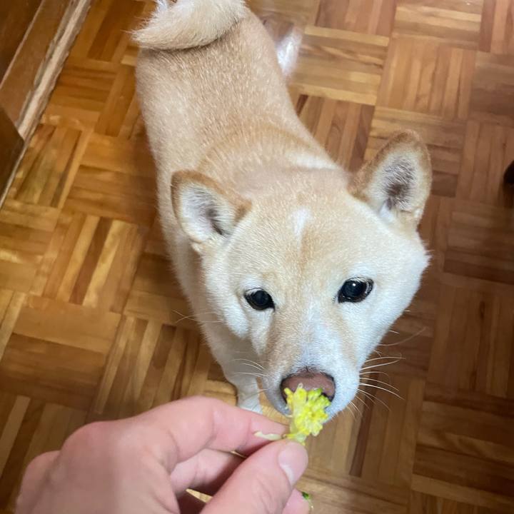 4137c431 db69 42d5 bbcc 67eee8a89ccb 1700092674436