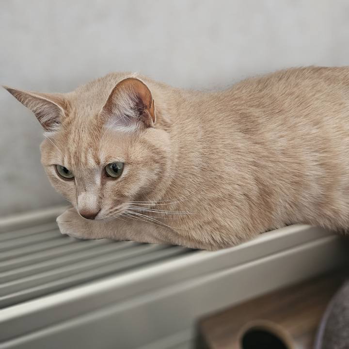 4138141e d313 49fd 8d73 3d83ba916239 1701569143377