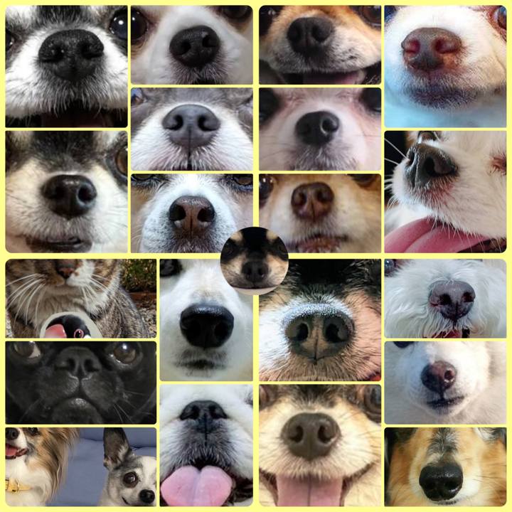 41383226 b307 4480 9d10 33b8d344a189 1688698886029