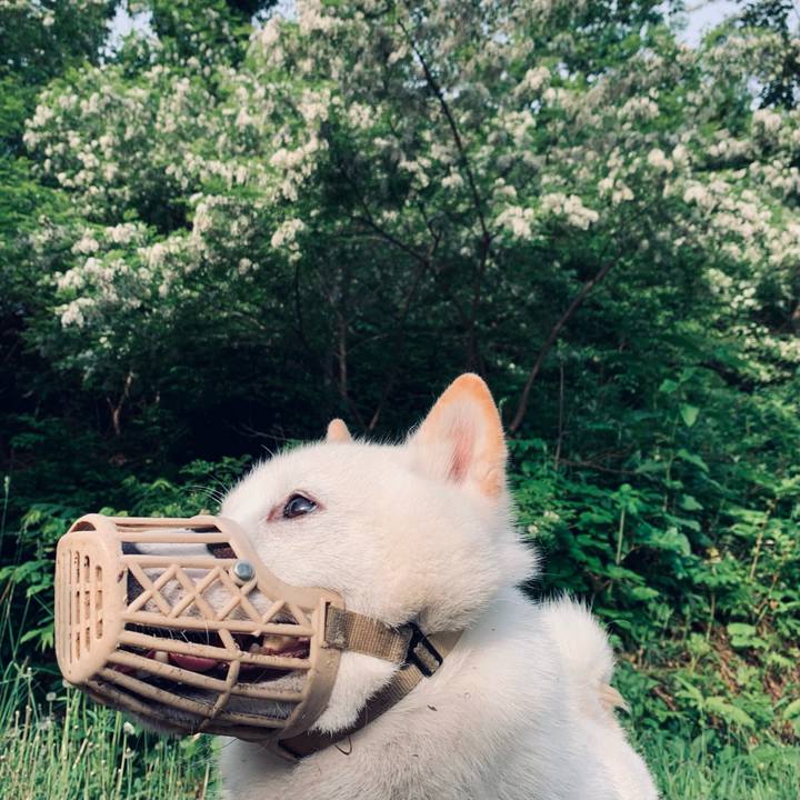 41384cc4 154c 4eec 9f64 0c6868115090 1655326385846