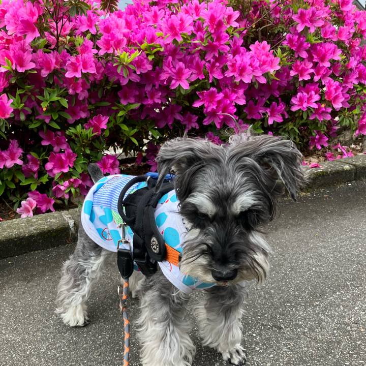 41387c07 3632 4529 8e34 3d06fc864a2a 1746941349376