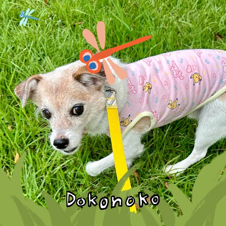 41388a74 0470 47ab b98f cef5f495725c 1726999518099