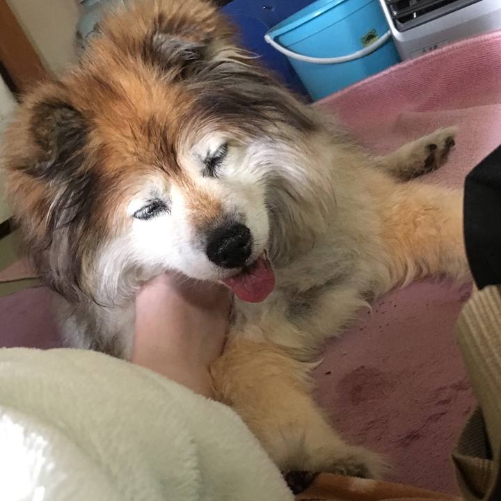 4138c506 5e34 44c6 826a c5ed707111a3 1595269503639