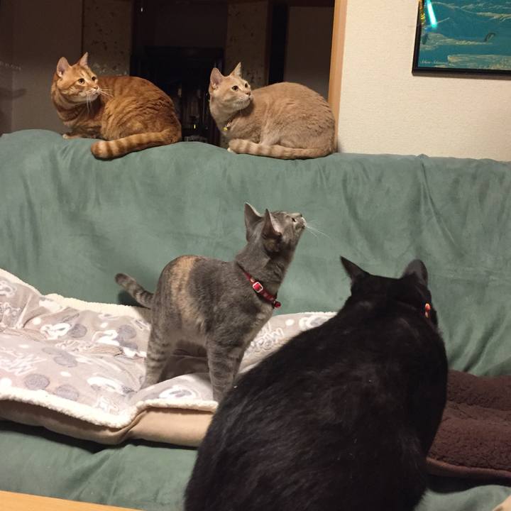 4138e21a 9903 4bc0 9025 fbe9d0b0b6c7 1570628694413