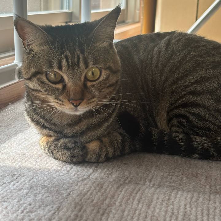 4138e56e 22f8 40b8 83fb 5d3fb45720a8 1762049804519