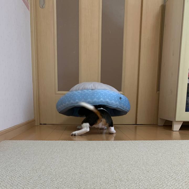 41392cf6 36eb 446c a037 71f382f859b6 1620193994092