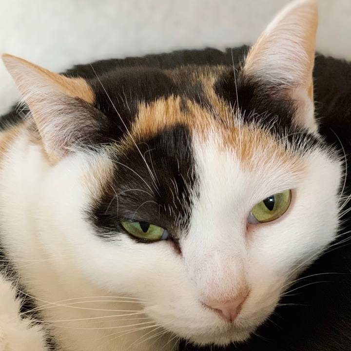 41393c00 c034 42ff 8c5c e31245035e84 1549679689485