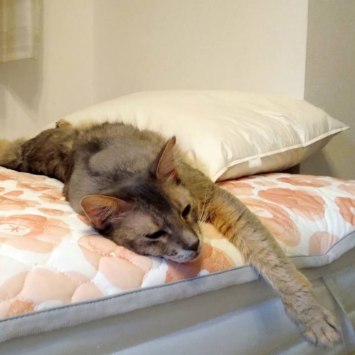 413951bc b194 41cf 871d 7988401bcb6c 1600950967885