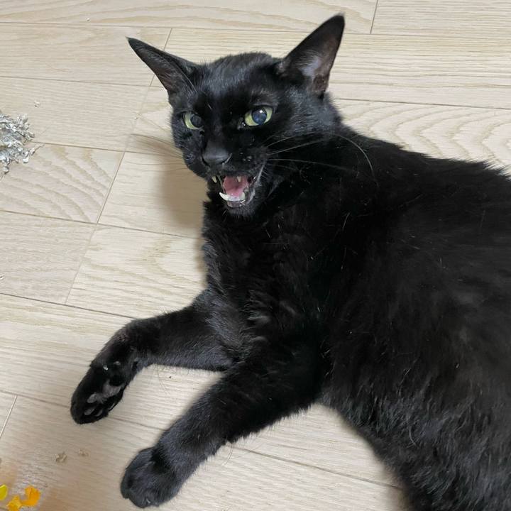 413988a6 a92c 4d27 91f2 9b0582128bcc 1753190842884