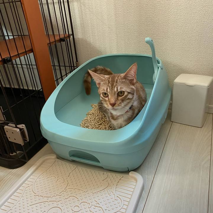 41399f06 244d 42a0 9503 883f4b2c2080 1605315165603