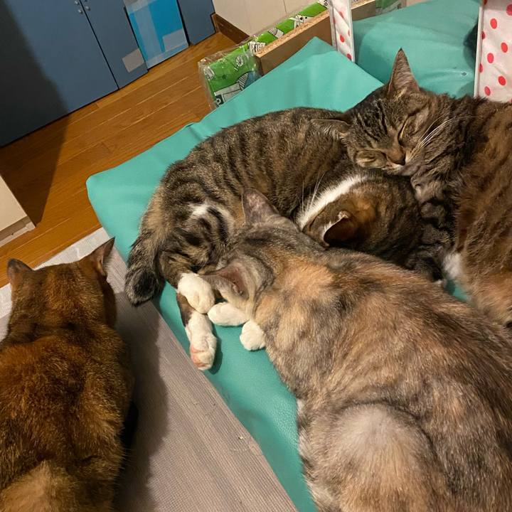 4139a4b4 914a 4bb2 a5ea c61882f0b7f4 1636822792563