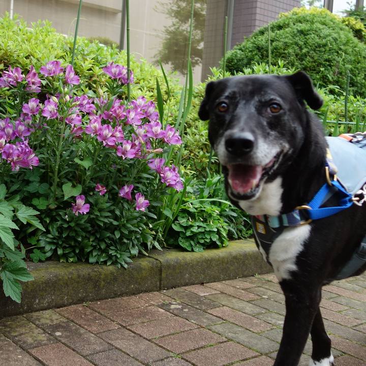 4139a69c 0de5 482d 9510 ee8a810b3e13 1747527637396