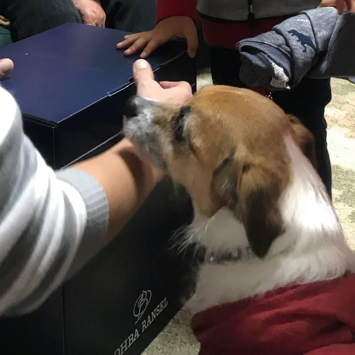 4139c008 94f3 46db 940e 4751cd5b2cda 1515972364198